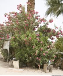 Photo Textures of Nature